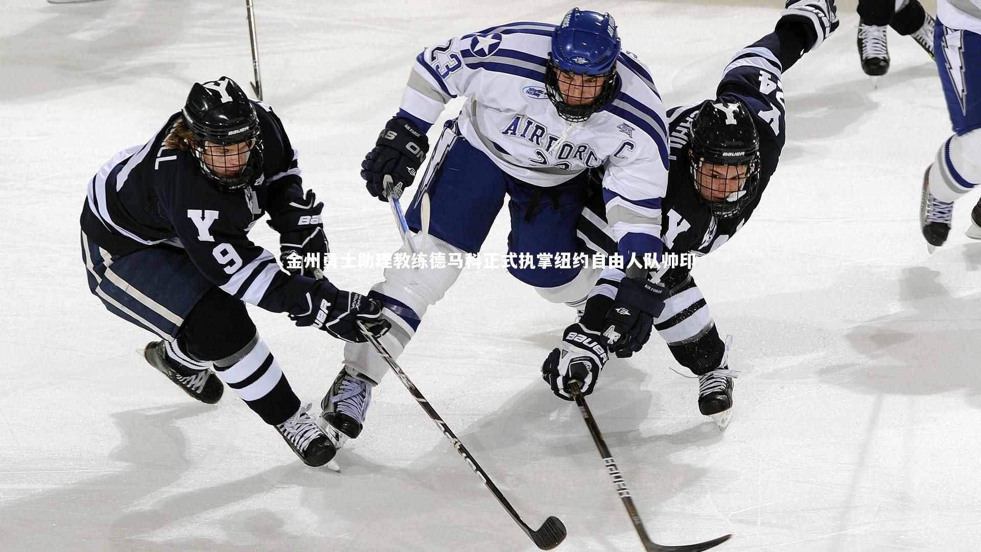 金州勇士助理教练德马科正式执掌纽约自由人队帅印